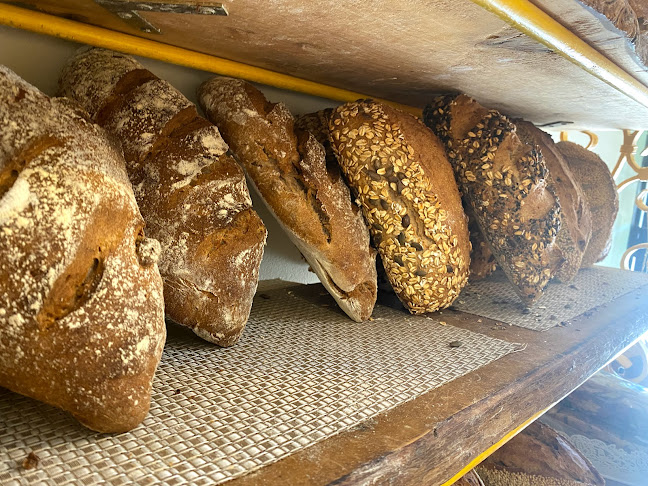 הר בוקר 8, מצפה רמון