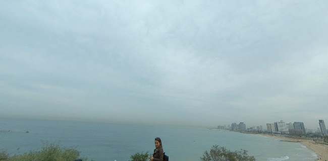 Comentarii opinii despre שוק הפשפשים - יפו