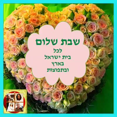 אמחייה - נתניה