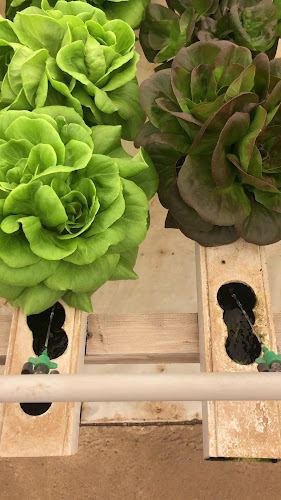 כרמלים - חנות המשק