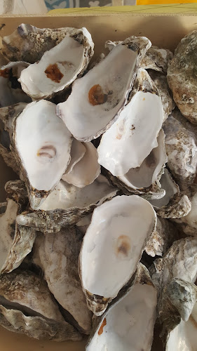 סירקין 28, חיפה