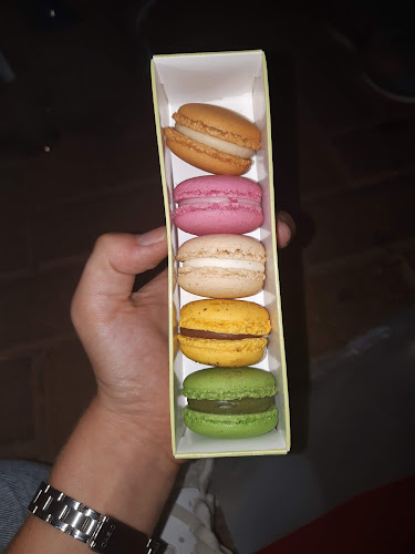 רביבה וסיליה רמת השרון - רמת השרון