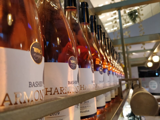 באשר פרומז'רי נתניה - נתניה