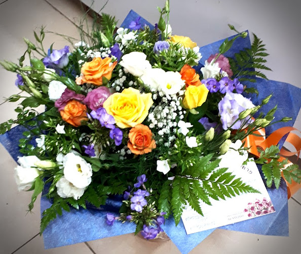 אורכידאה ירוחם - ירוחם