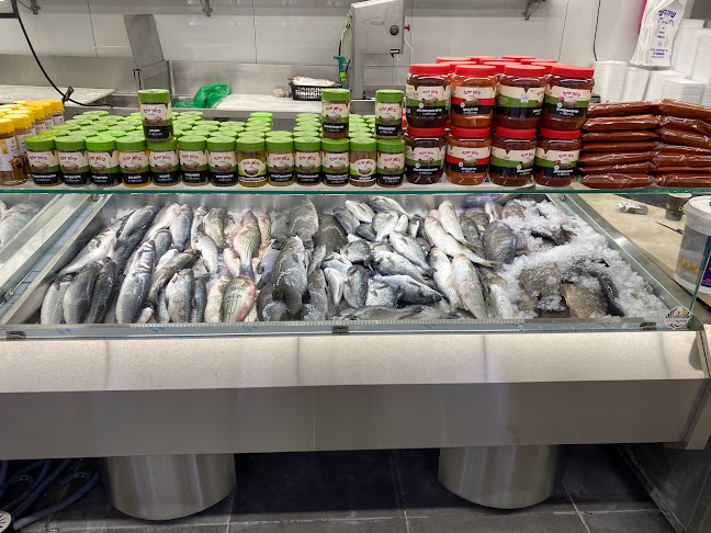 שירת הים - חנות דגים - בת ים - בת ים