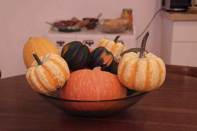 גן השדה כפר רות