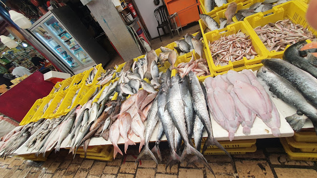 שוק עכו מהעיר העתיקה והחוף - עכו