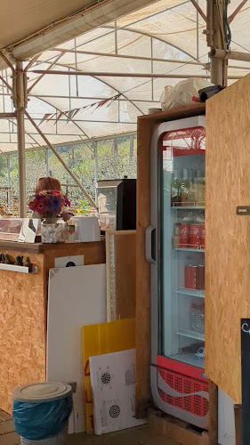 Opinii despre קפה בפטל - עגלת קפה וגלידה במרכז în ביתן אהרון - הסעדה