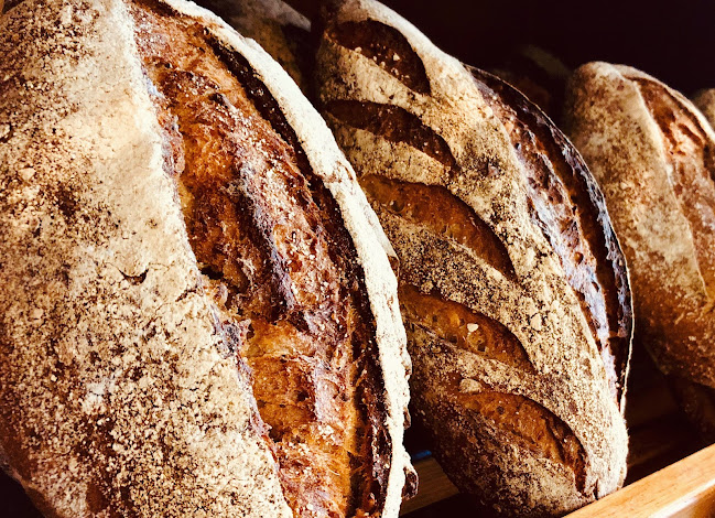 טאטי בייקרי