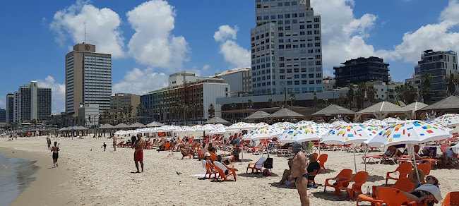 חוף לה מר תל-אביב | La Mer Beach Tel Aviv - תל אביב-יפו