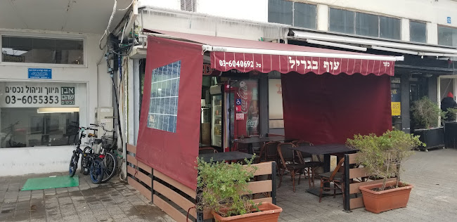 איציק עוף בגריל