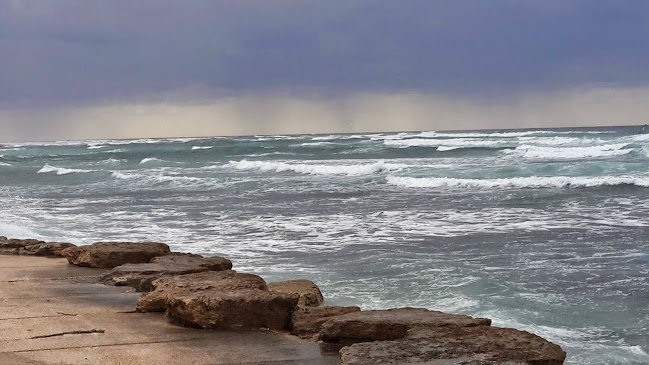 מסעדג - הסעדה