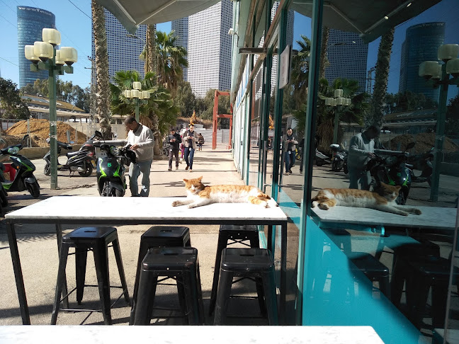 תוצרת הארץ 3, תל אביב-יפו