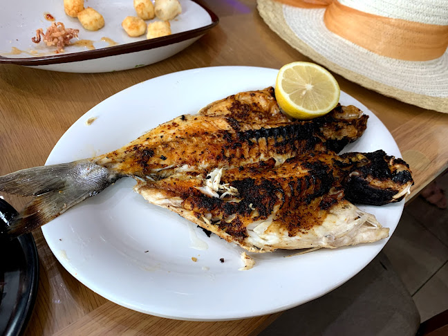 Opinii despre מסעדת הדייגים în עכו - הסעדה