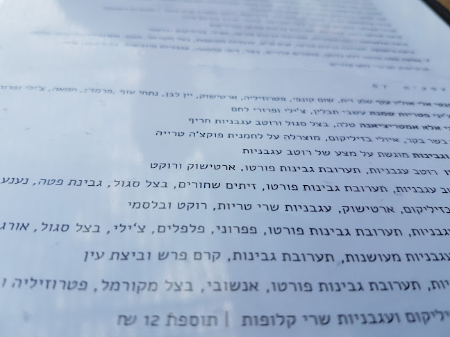 פיצה פורטו איירפורט סיטי - הסעדה