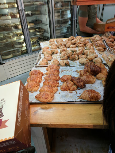 Comentarii opinii despre מן הארץ