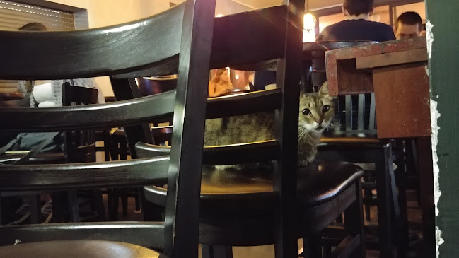 מחניים 4, חיפה