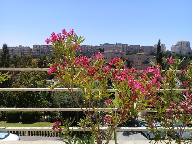 פיצה רום - ירושלים