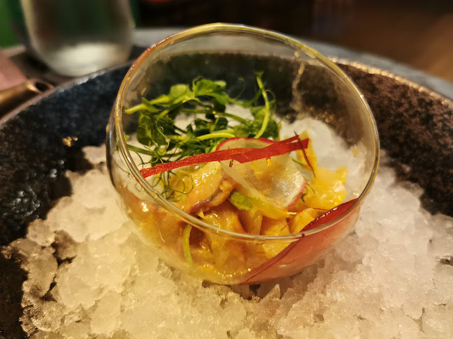 Comentarii opinii despre Kitto Katto