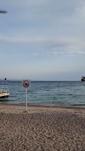 חוף מיה - mia beach bar - אילת