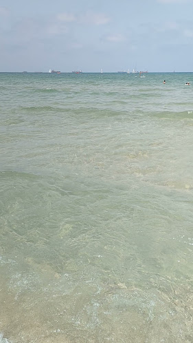 Comentarii opinii despre זה אשדוד