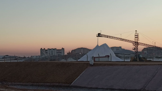 Opinii despre פלמינגו în אילת - הסעדה