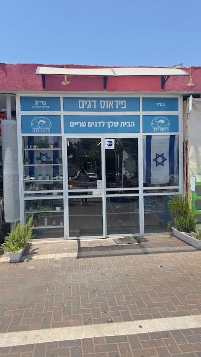 פיראוס דגים