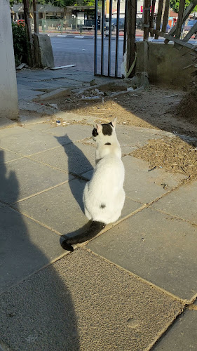 Opinii despre שוק עירוני ב' în אשדוד - הסעדה