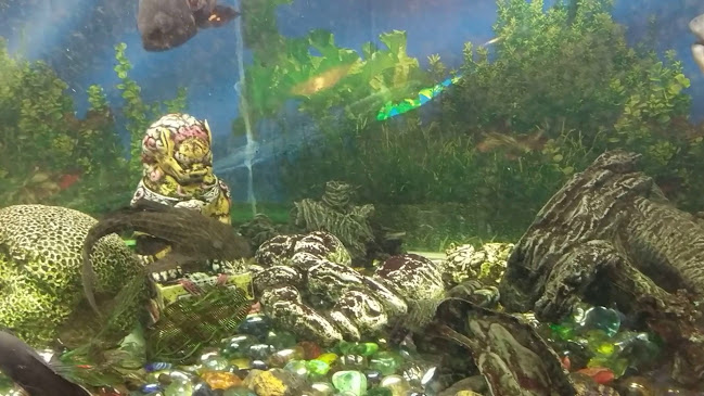 Chung Shing - הסעדה