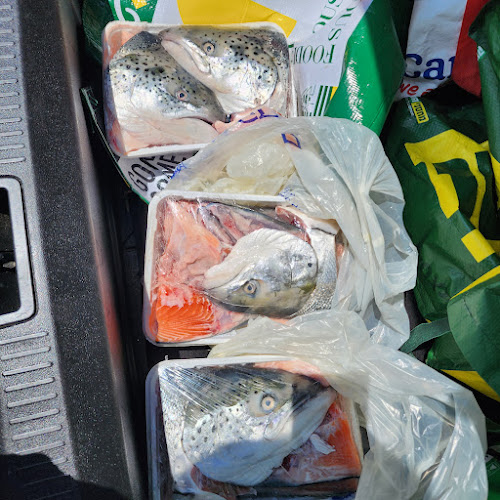 Opinii despre שוק הדגים - חנות în באר שבע - הסעדה