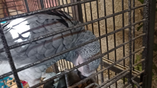 בצלאל 2-38, ערד