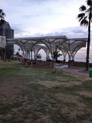 קופיקס בר, שטמפפר, נתניה