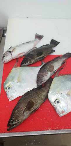 דגיי הקיבוצים רמת ספיר - חיפה