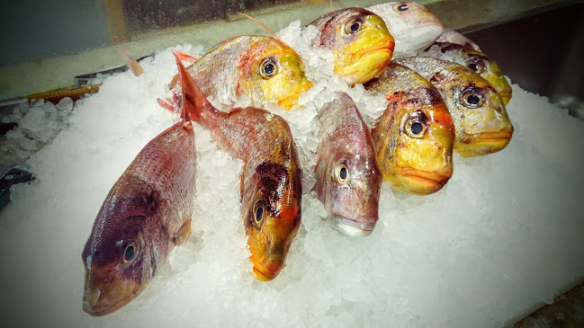 של- דג רמת אביב - תל אביב-יפו