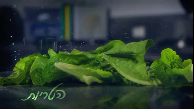 פרוסות אומנות קולינארית