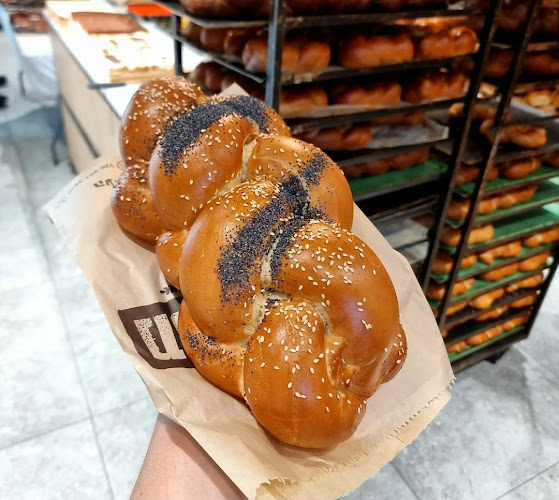 העלייה 33, כפר יונה