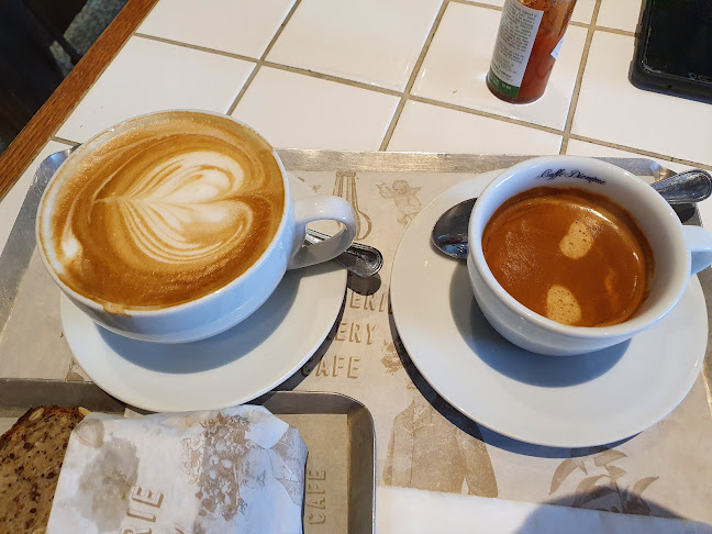 נונו מימי כפר סבא - כפר סבא