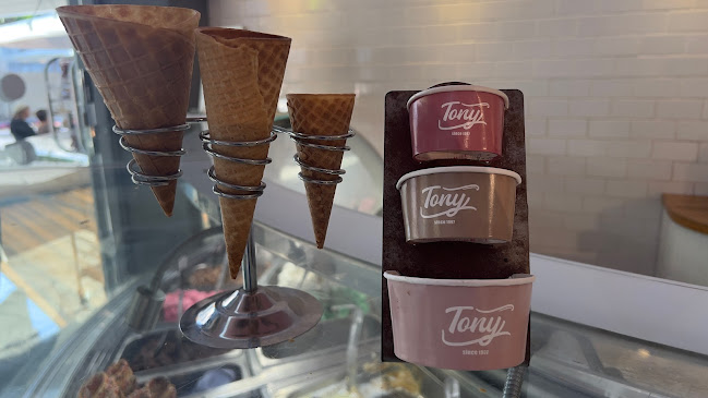 הרצל 5, נתניה