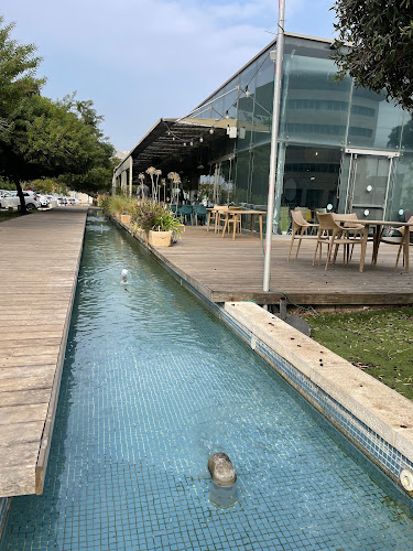 Comentarii opinii despre אייר קפה (Air caffe) מסעדה איטלקית חלבית כשרה