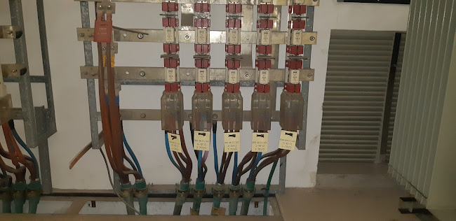 גלגלי הפלדה 11, הרצליה