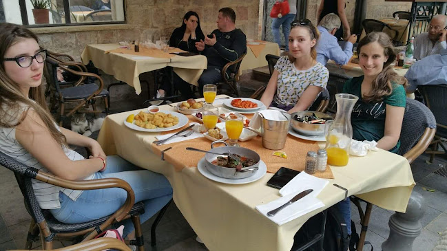 דולפין ים - Sea dolphin - ירושלים