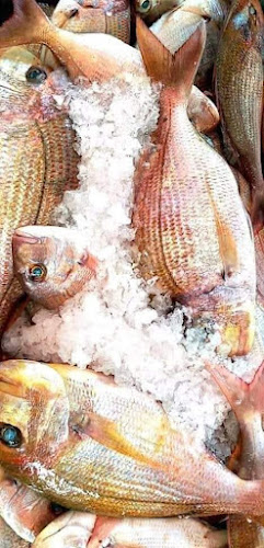 La Criée Israel - Sheshet HaYamim חנות דגים רעננה - הסעדה