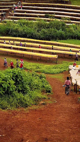 כיכר צינה דיזנגוף 1, תל אביב-יפו