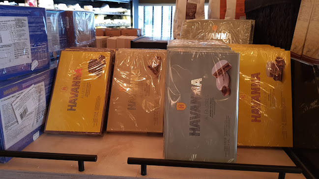 Comentarii opinii despre אגתה