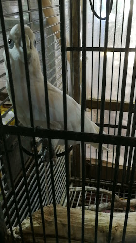 עולם החי והצומח - ערד