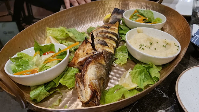 דוניס דגים ויין