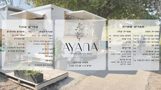 Comentarii opinii despre עגלת קפה עיינה