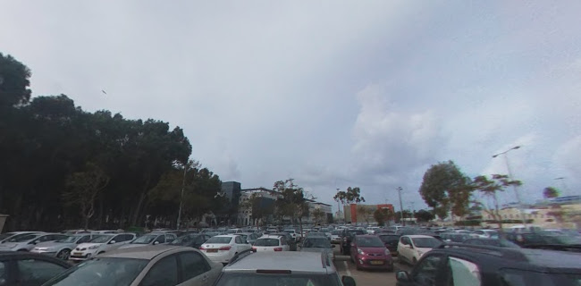 שיבולים & מור בע"מ