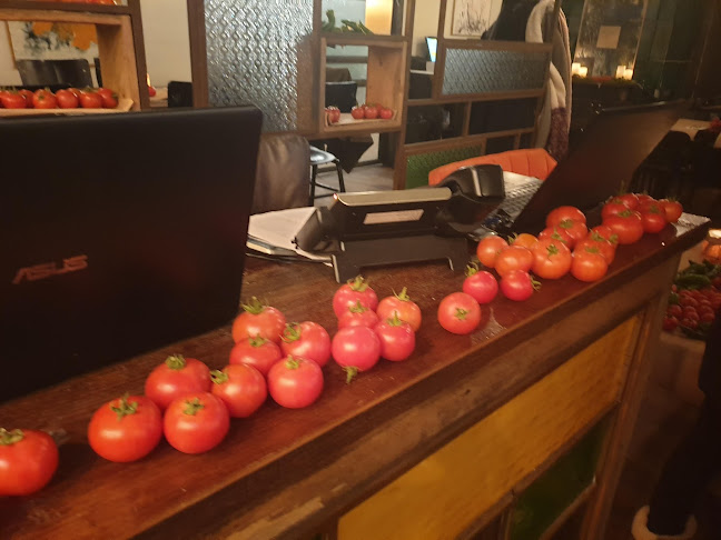 מלכה - Malka by Eyal Shani - תל אביב-יפו