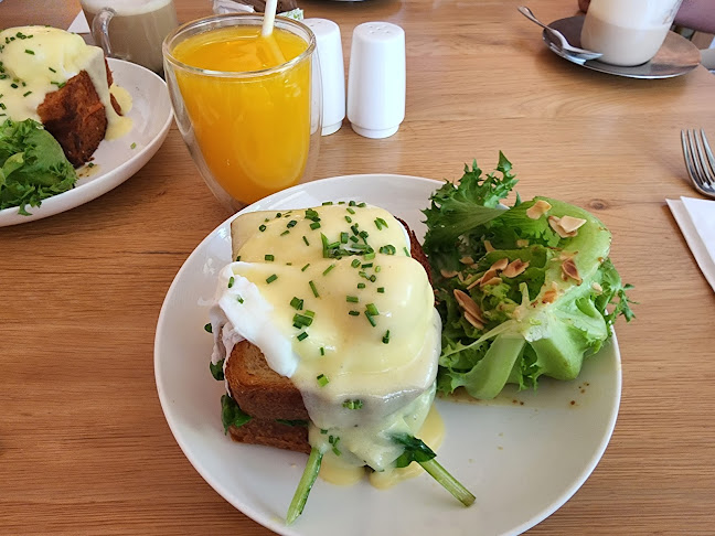 Comentarii opinii despre רביבה וסיליה